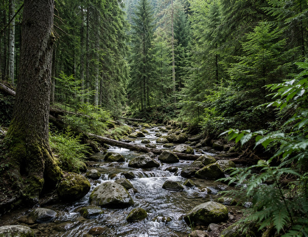 Nature