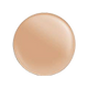 LACTOBACILLUS FERMENT