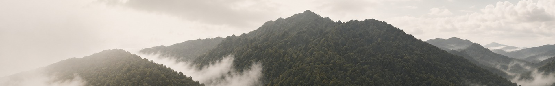 slider image slider_item_mFAejK